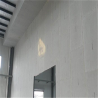 黑水宁波ALC板|EPS加气板隔墙与混凝土整浇联接的实验研讨